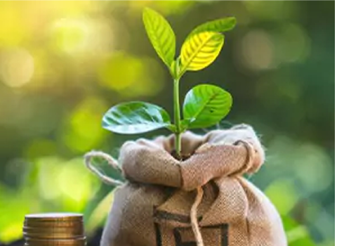 Mutual funds